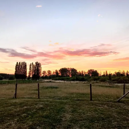 Dom wakacyjny Op 't Roth 12 Ruime Sfeervolle Vakantiewoning In 't *
