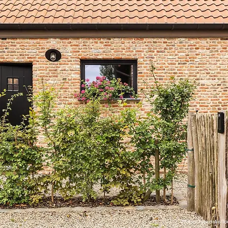 Dom wakacyjny Op 't Roth 12 Ruime Sfeervolle Vakantiewoning In 't *
